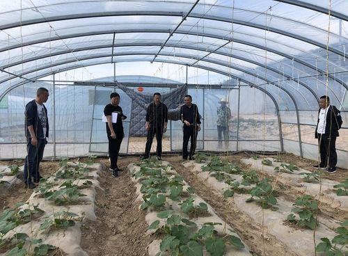 學黨史砥礪初心 強技術服務三農(nóng)——市農(nóng)業(yè)技術推廣中心站扎實開展“我為農(nóng)民辦實事”實踐活動